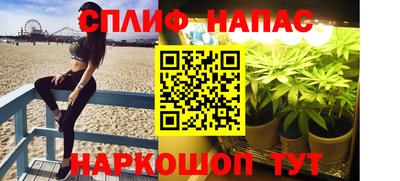 прущие грибы Абакан