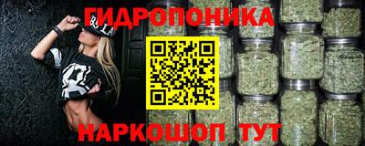 прущие грибы Абакан