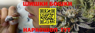 прущие грибы Абакан