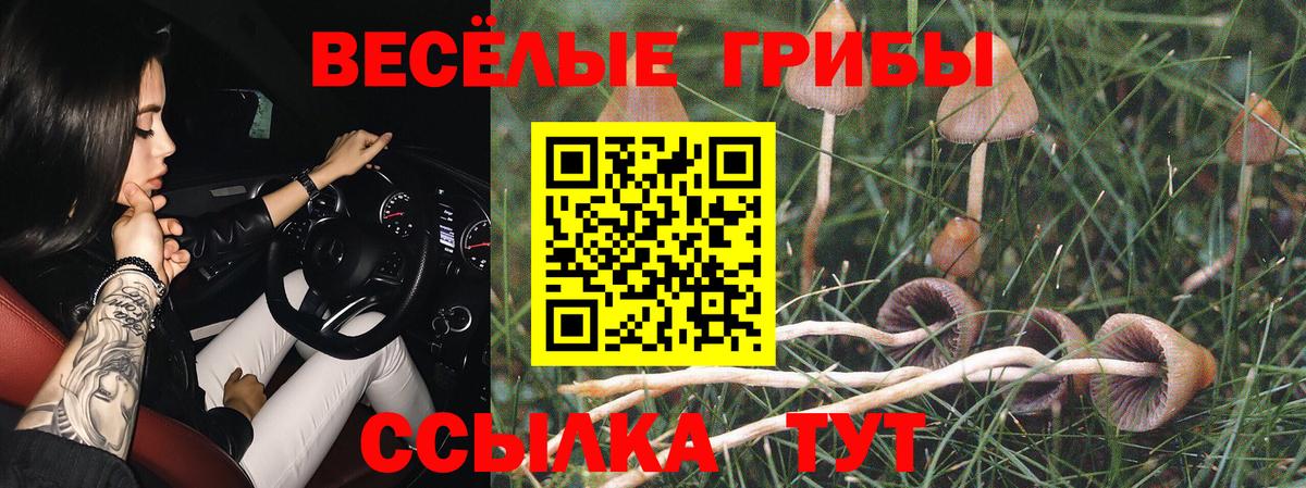 Галлюциногенные грибы Magic Shrooms Алексин