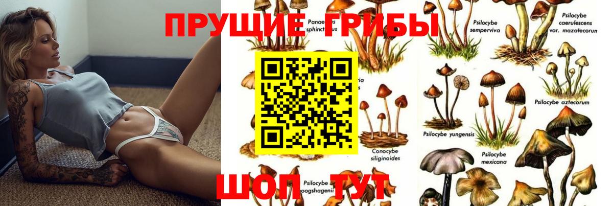 Алексин  Галлюциногенные грибы Cubensis  Галлюциногенные грибы ЛСД  Вход с VPN 